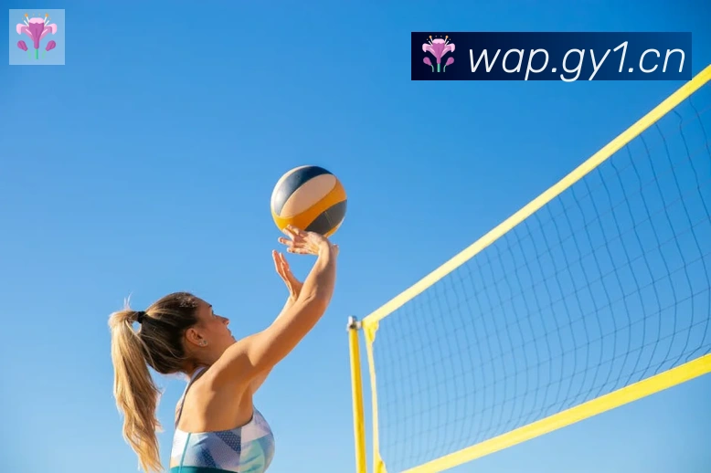 App 展示图