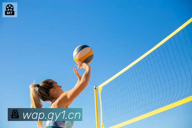 App Interface Preview