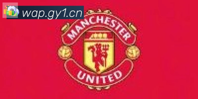 爱游戏网页版合作伙伴